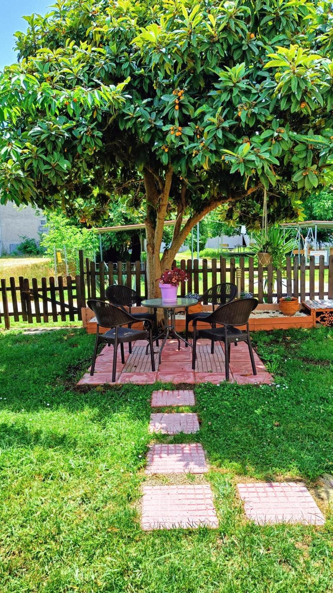 אפרטהוטל לפטוקריה Garden House Katerina מראה חיצוני תמונה